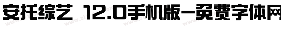 安托综艺 12.0手机版字体转换